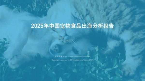 典丰投资 亿欧智库：2025中国量贩零食行业现状报告